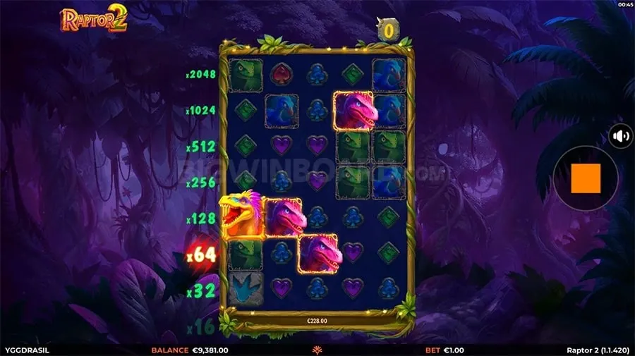 Bingo Plus Strategies